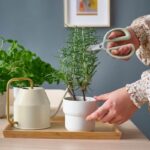 قیچی باغبانی ایکیا مدل BRYTBONA